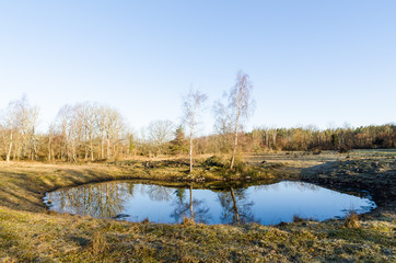 Watering hole with reflections in the countryside