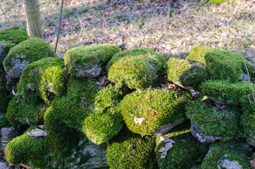 Old moss covered stone wall