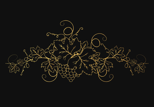 Golden Vine Branches With Bunch Of Grapes And Leaves. Ornate Decoration Divider For Wine Menu Or Label Design. Vector Gold Foliage Background.