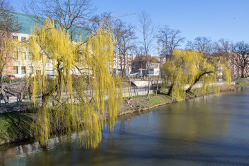 Fototapeta premium Spring embankment of the river Oder on a sunny day, Poland