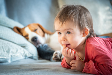 Fototapeta premium Baby with dog on sofa relaxing together.