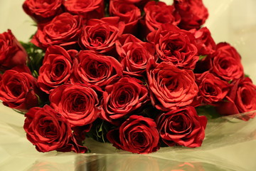 red roses to propose someone