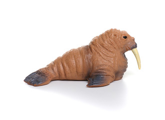 Toy walrus  isolated on white