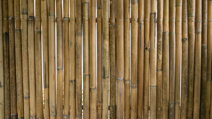 Bamboo wall