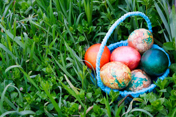 blue basket with easter eggs standing on a green grass near the stump