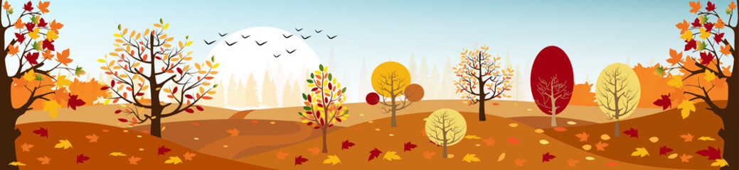 Panorama landscape of Countryside landscape in autumn, Vector illustration panoramic of horizontal banner of autumn landscape mountains and maple trees fallen with yellow foliage.