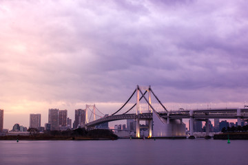 Fototapeta na wymiar Tokyo Skyline From Across The Bay