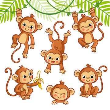 Cute monkey standing cartoon vector icon illustration animal nature icon  concept isolated premium vector 9366480 Vector Art at Vecteezy