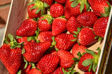 A fruit box full of bright red strawberries, blurred background.