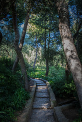 Taking a walk through Park G&uuml;ell, Barcelona; Spain