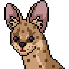 Fototapeta premium vector pixel art wild cat