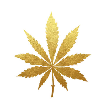 Gold Cannabis Leaf Vector