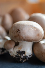 Fresh organic brown chestnut champignons from underground caves in Belgium