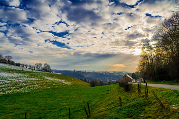 Obraz premium Field in Goé