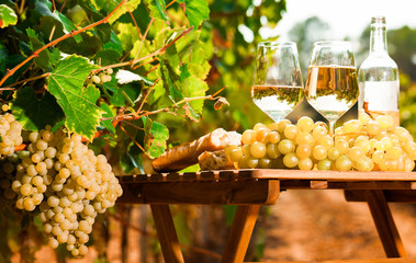 still life with glass of White wine grapes and bread on table in field