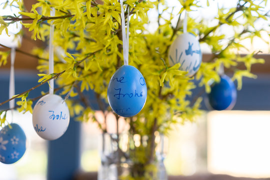 Forsythien mit Ostereiern