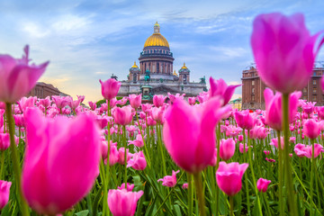 St. Petersburg. Russia. St. Isaac's Square in the spring. St. Isaac's Cathedral through the...