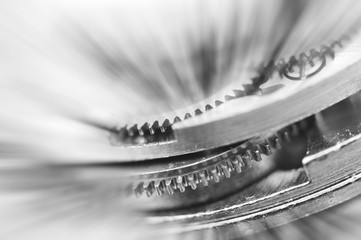 Black and white background. Metal Cogwheels in clock mechanism. Macro.