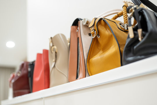 Close up collection of woman feminine handbags, standing in a row on shelf