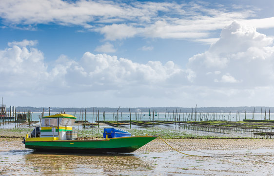 BASSIN D'ARCACHON (France), parc &agrave; huitres au Cap Ferret