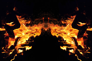 Abstraction, burning fire with sparks. Mystical type of butterfly or monster. Horizontal reflection