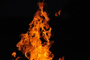 A beautiful flame of a burning fire with wood on a black background. Close-up