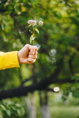 a man is holding a flower against the blurred background of trees and grass. bokeh, close-up, picnic, summer
