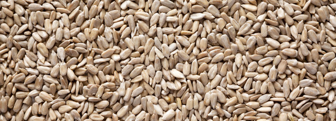 Hulled sunflower seeds background.