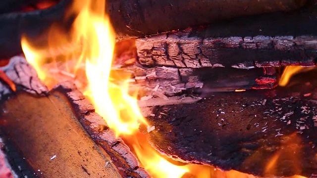 Closeup view of bright cozy burning fire inside of fireplace. Slow motion. Hd video footage.