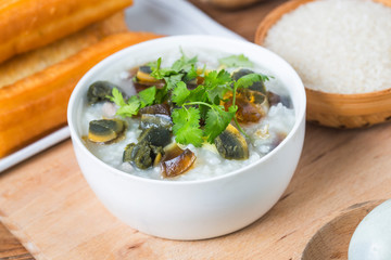 Rice preserved egg lean meat porridge，chinese rice porridge, chinese traditional healthy breakfast