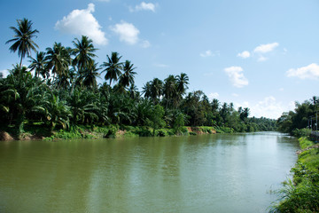Naklejka premium View landscape and motion flowing water of Sawi river at Sawi District in Chumphon, Thailand