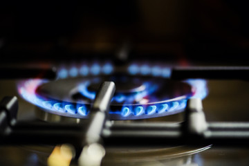 Fototapeta na wymiar Natural gas burning on kitchen gas stove
