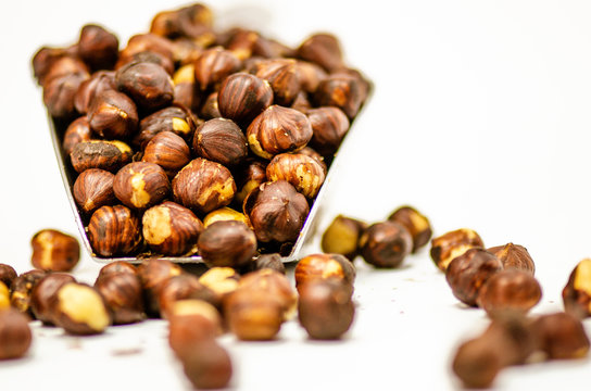 brown hazelnut in a scoop