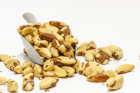 Brazil nut