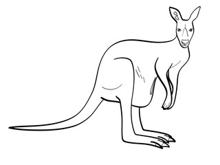 isolated object coloring, black lines, white background. An animal is a canada, a kangaroo female. Raster