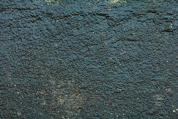 Lichen on cement texture