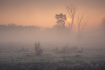 Foggy morning in the valley of the Jeziorka river near Piaseczno, Masovia, Poland