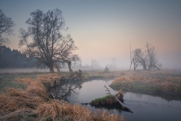 Foggy morning in the valley of the Jeziorka river near Piaseczno, Masovia, Poland