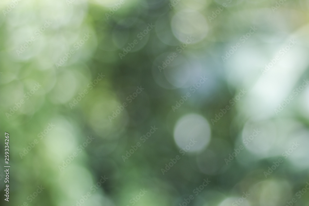 Wall mural blurred view of nature in bokeh style in the afternoon of day sky background
