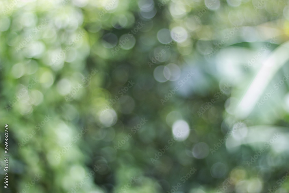 Wall mural blurred view of nature in bokeh style in the afternoon of day sky background
