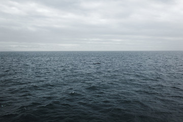  view from the ship of the water of the Atlantic Ocean from Iceland