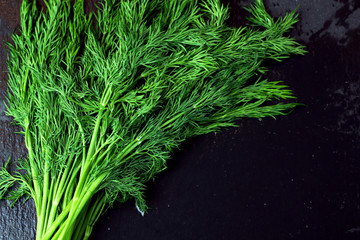 Fresh green bunch of dill on black slate background with free copy space for text