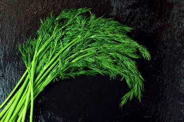 Fresh green bunch of dill on black slate background with free copy space for text