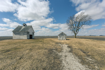 A barn, a shed and a barren tree deep in the midwest heartland © Richard