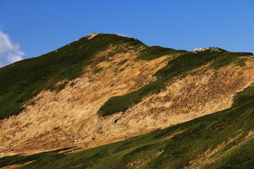 Fototapeta na wymiar 東北飯豊連峰　飯豊山山頂への道　山頂直下から山頂を望む