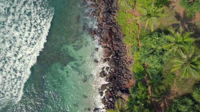 Aerial View drone 4k footage Of Coconut Tree Hill at Mirissa, Sri Lanka. Wave on top view.