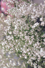 beautiful white flower blossom bouquet