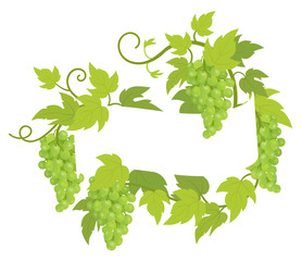 Grapevines plant frame label. Border grape bunches frame decor. Copy space for text name or logo. Grapes green leaves. Vector flat Illustration.