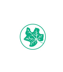 green leaf icon
