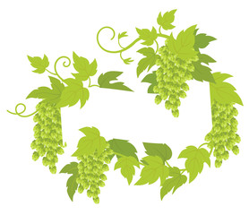 Hop plant frame circle label. Round border frame decor. Copy space for text name or logo. Hop green leaves and cones. Vector flat Illustration for pub bar or beer advertising.